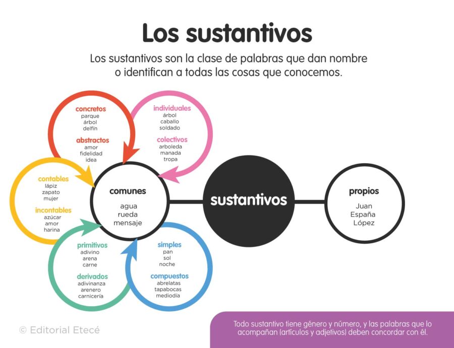 100 ejemplos sorprendentes de articulos y sustantivos