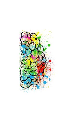 15 habilidades cognitivas que transforman tu potencial