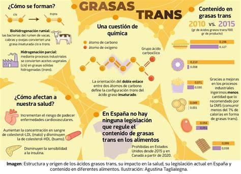 30 Grasas Sorprendentes: ¡Descubre su Valor Oculto! 2 30 grasas sorprendentes descubre su valor oculto