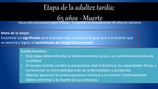 adultez tardia impacto y caracteristicas sorprendentes
