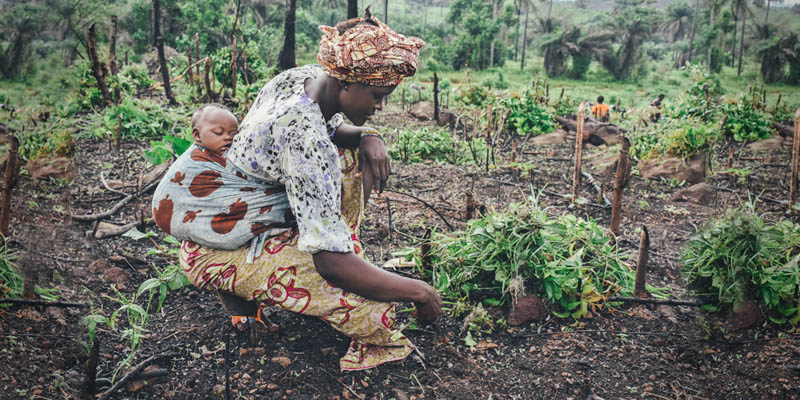 ÁFRICA: Descubre SUS REGIONES y CLIMAS fascinantes 2 africa descubre sus regiones y climas fascinantes