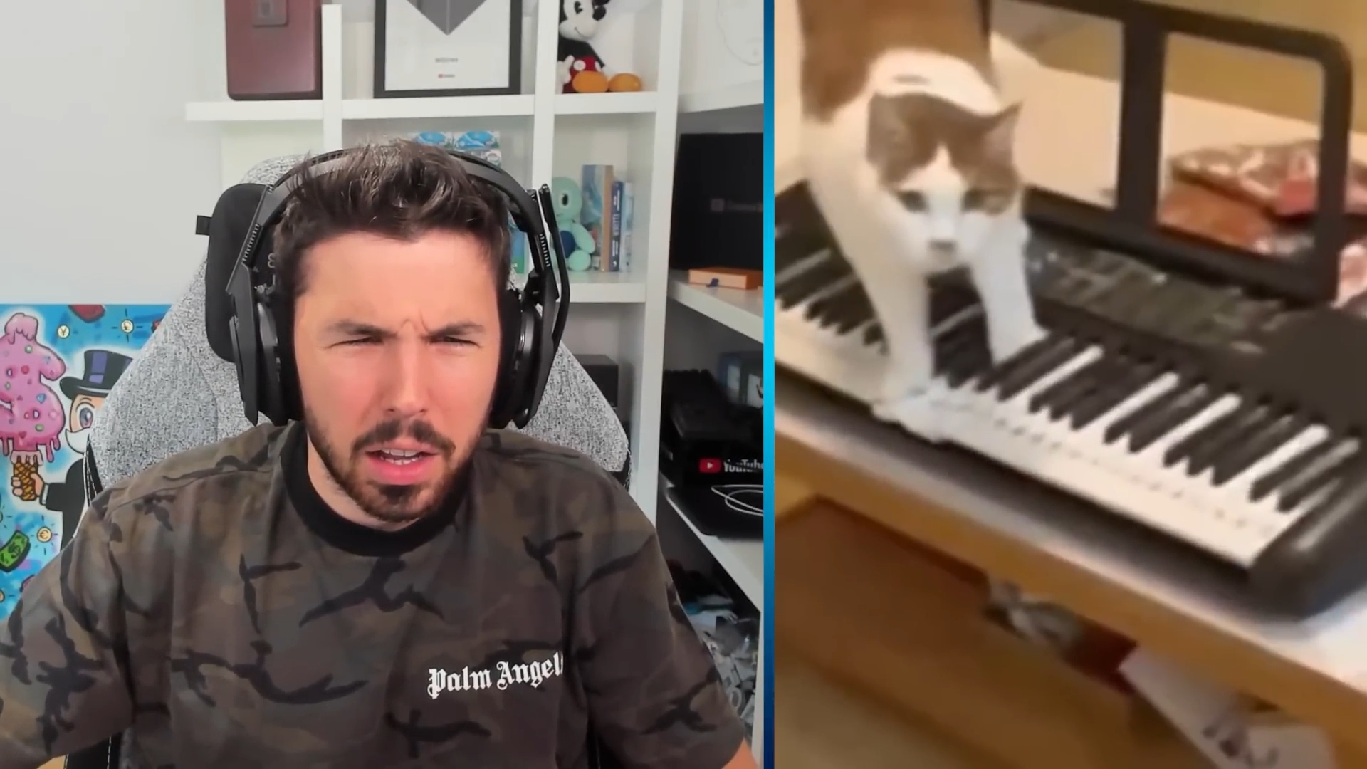 animales que graznan sonidos sorprendentes que impactan