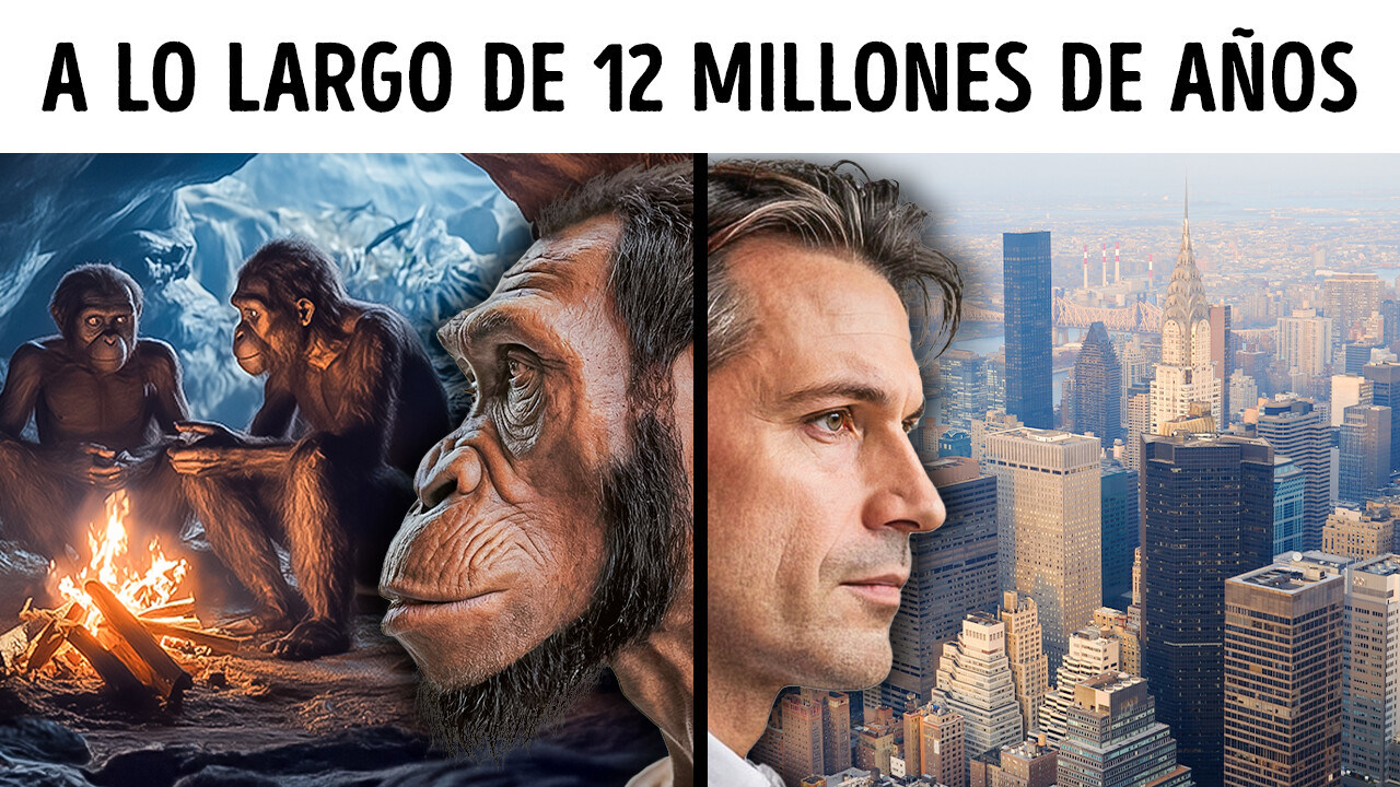 antepasado su significado revelado y fascinante evolucion