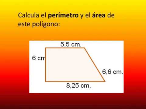 area de un rectangulo descubre la formula y ejercicios