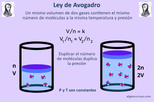 AVOGADRO: Qué es la LEY que REVOLUCIONÓ la Ciencia 2 avogadro que es la ley que revoluciono la ciencia