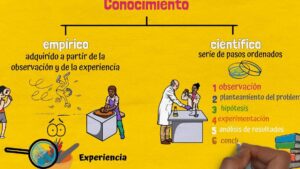 baremo descubre su verdadero significado y como se aplica