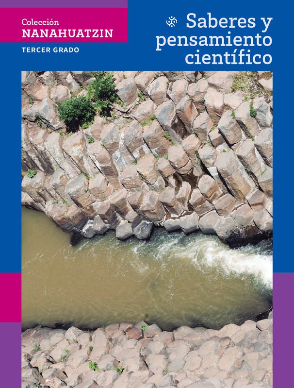 BASES DEL CONOCIMIENTO CIENTÍFICO: Sabes sus TIPOS 2 bases del conocimiento cientifico sabes sus tipos