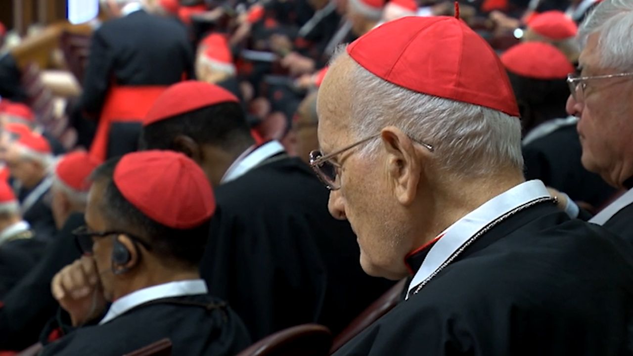 CARDENAL: Qué son y por qué tienen tanto poder en la Iglesia 2 cardenal que son y por que tienen tanto poder en la iglesia