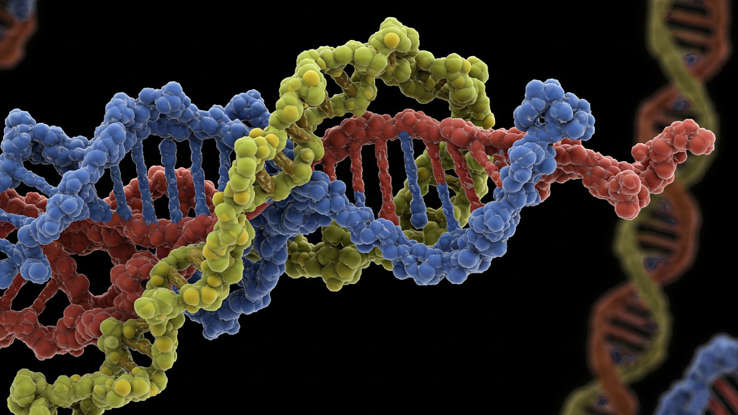CARIOTIPO: Clave para entender tu salud genética 2 cariotipo clave para entender tu salud genetica