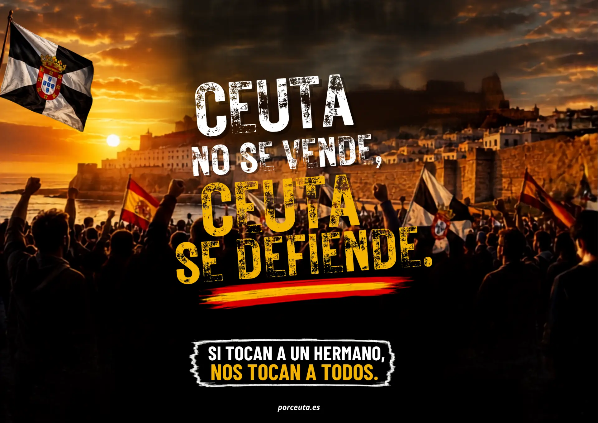 cartel que es y por que es importante descubrelo aqui