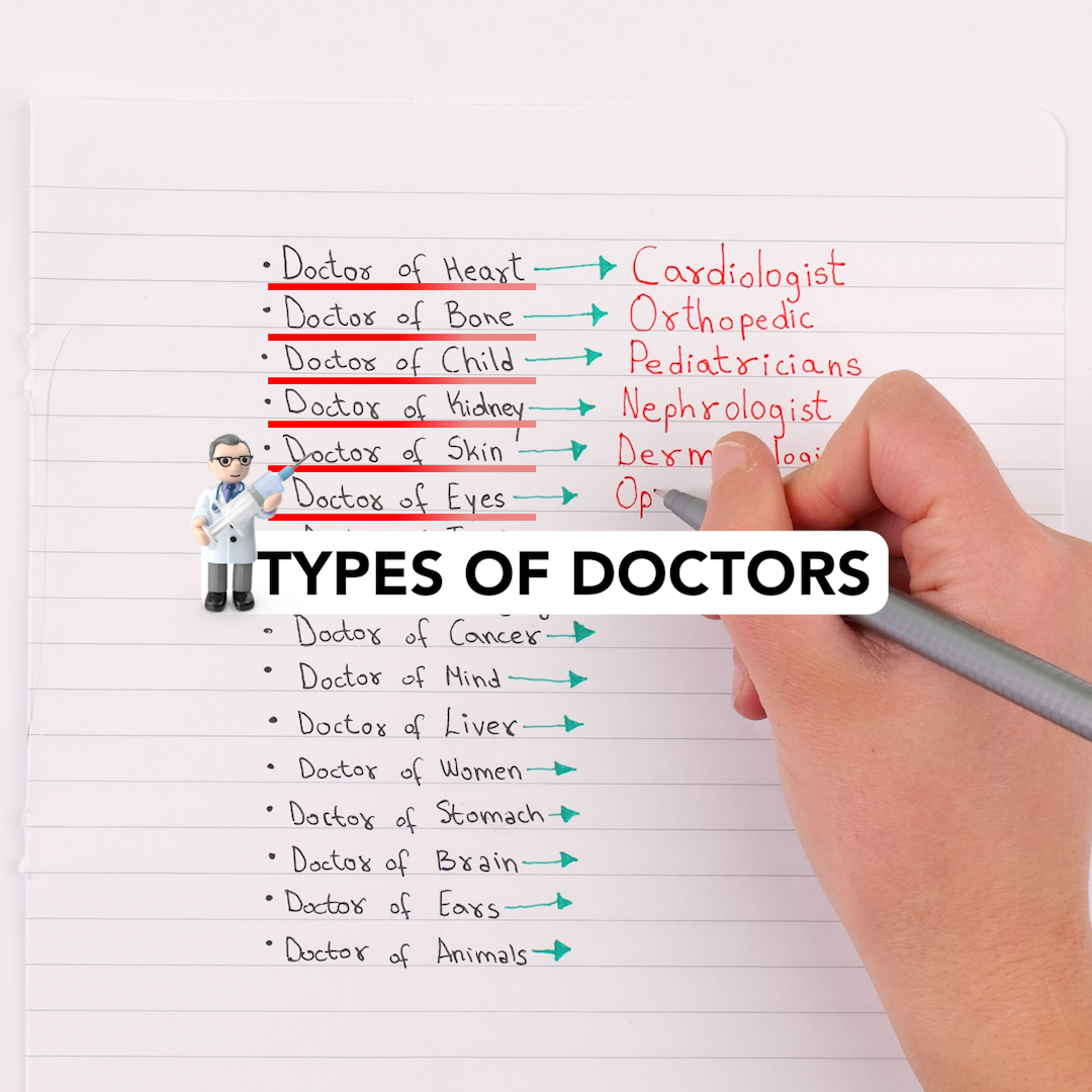 catedraticos vs doctores cual es la diferencia
