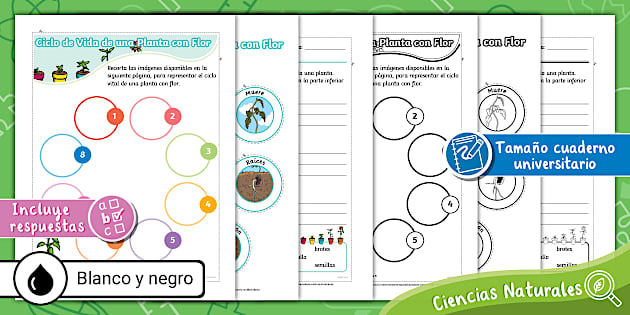ciclo biogeoquimico por que son clave para la vida