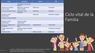 ciclos vitales de la familia conoces sus etapas