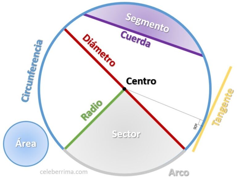 circunferencia descubre sus elementos y poligonos