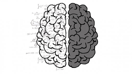 circunvoluciones del cerebro descubre sus 9 secretos