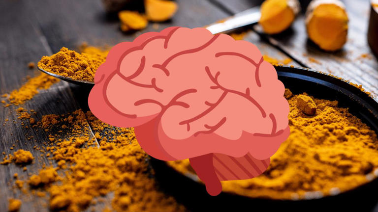 claves del cerebro funciones esenciales que debes conocer