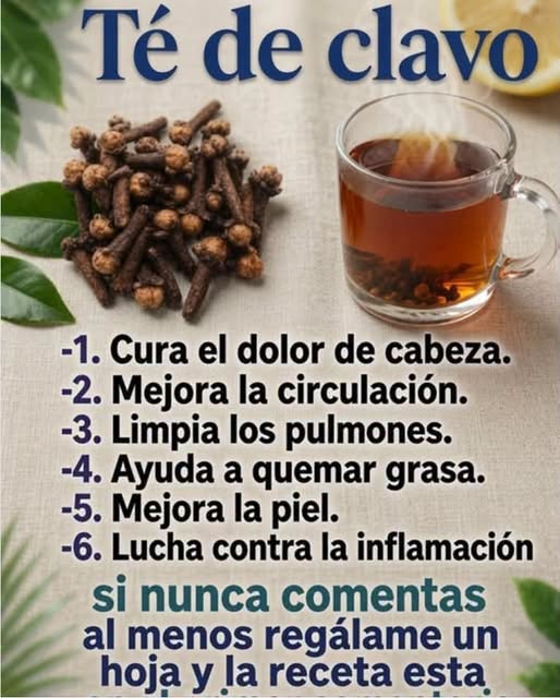 Clavículas: Qué son y por qué son esenciales para tu salud 2 claviculas que son y por que son esenciales para tu salud
