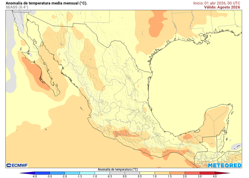 Clima y VEGETACIÓN: Por qué MÉXICO es tan ÚNICO 2 clima y vegetacion por que mexico es tan unico