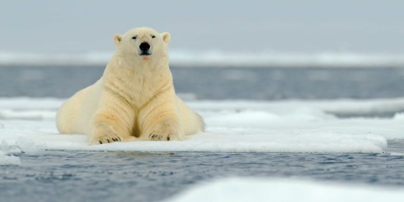 climatologia descubre su importancia y ramas esenciales