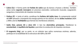 cloro descubre su importancia en la tabla periodica
