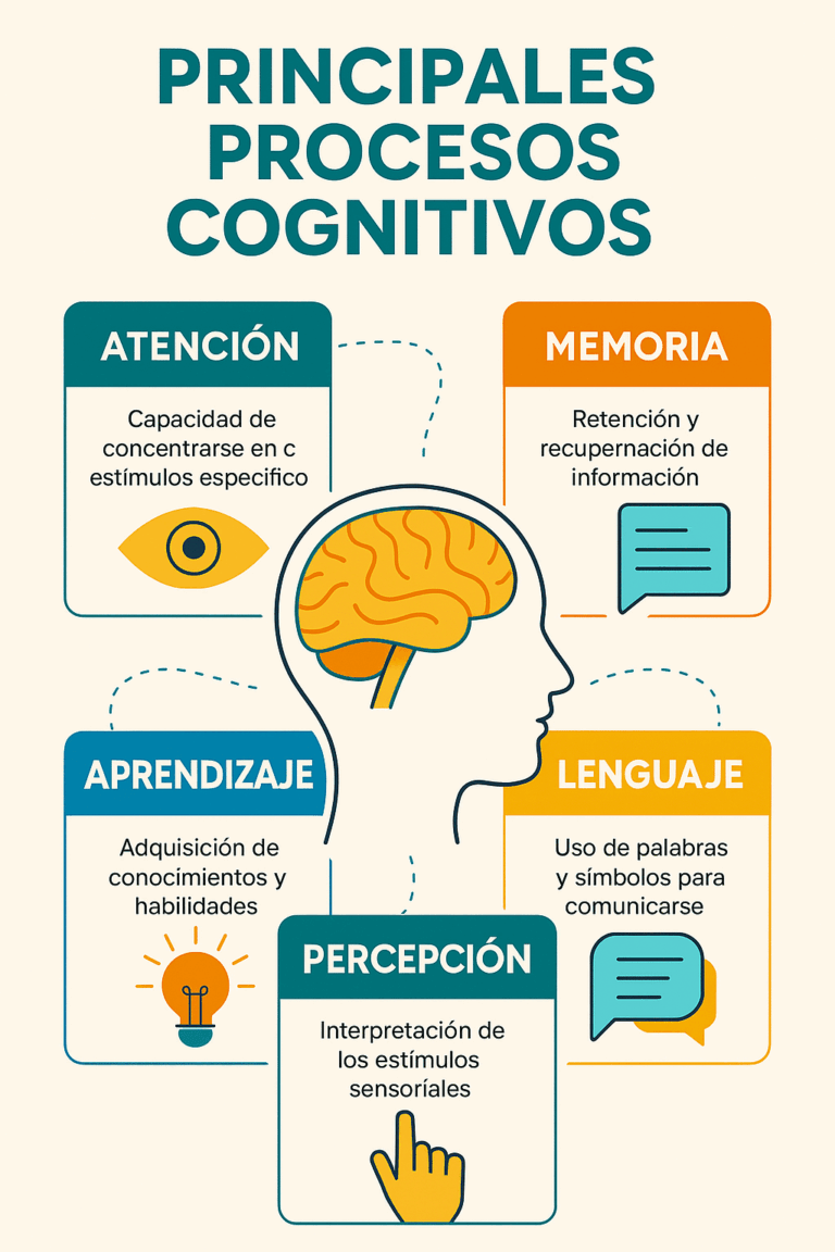 cognicion social descubre como nuestra mente interactua