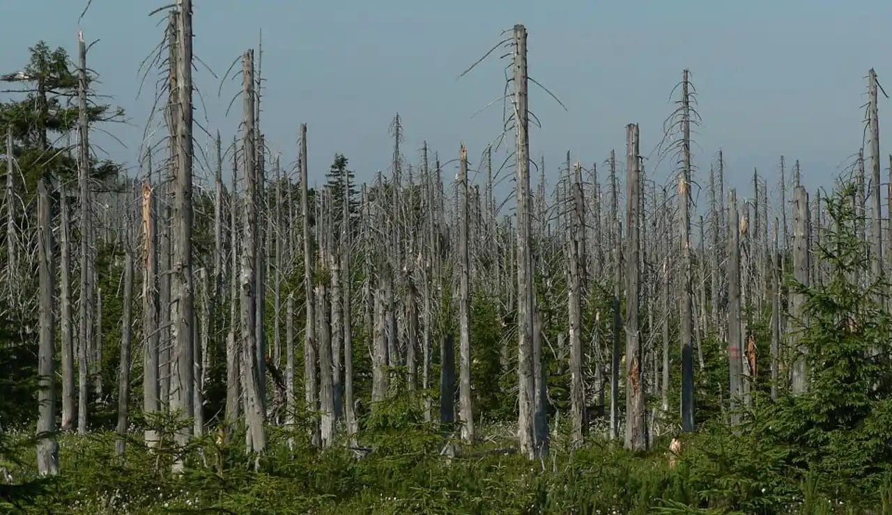 como se produce la lluvia acida efectos sorprendentes