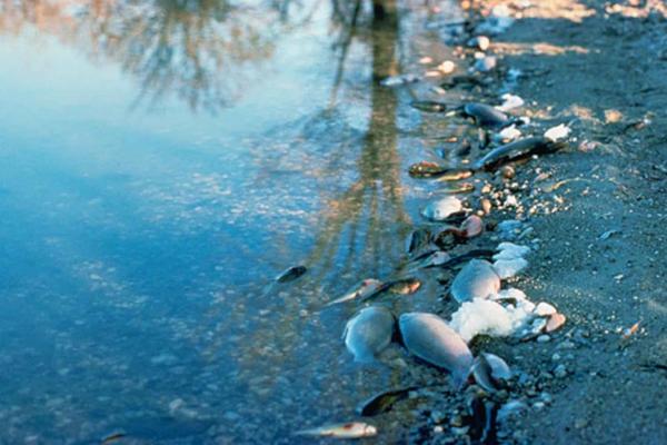 contaminacion del aire suelo y agua que lo causa