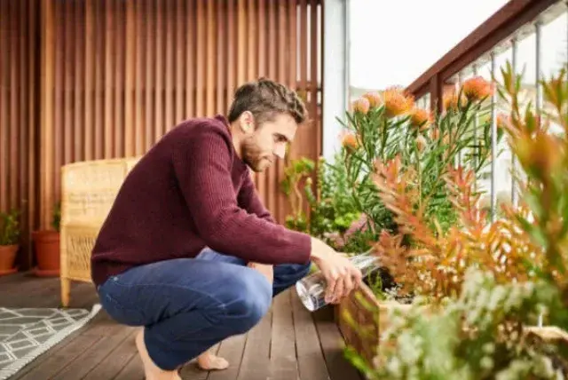CUIDAMOS LAS PLANTAS: ¡Descubre Por Qué Son Esenciales! 2 cuidamos las plantas descubre por que son esenciales