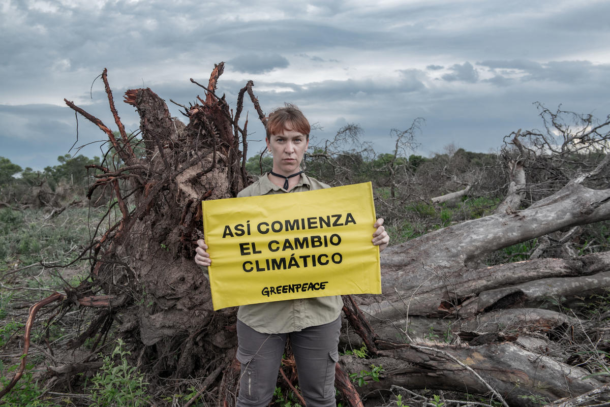 deforestacion causas y consecuencias que debes conocer