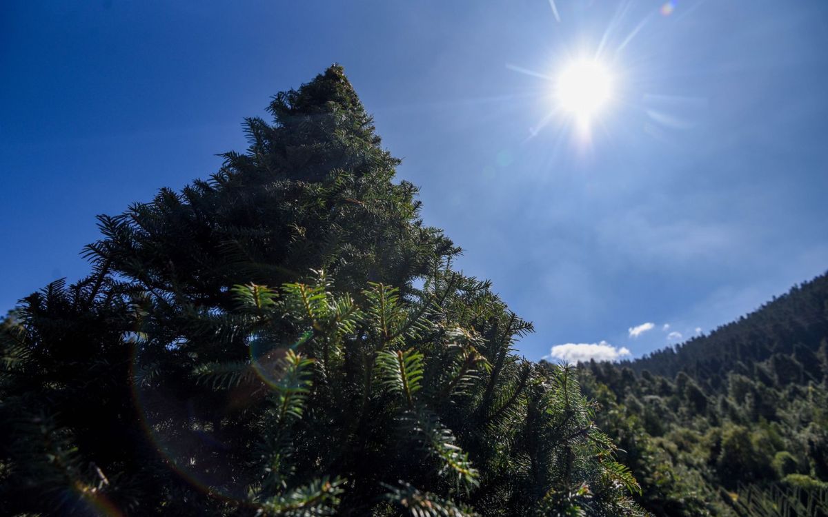 descubre 15 ejemplos de ambientes naturales y artificiales