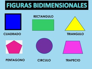 descubre cuerpos geometricos nombres fascinantes