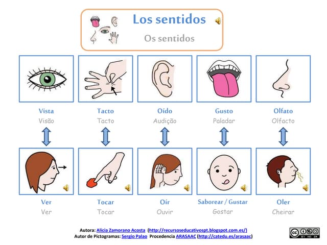 Descubre el Sorprendente Significado de los Sentidos 2 descubre el sorprendente significado de los sentidos