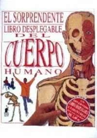 Descubre el Sorprendente Significado del Citoplasma 2 descubre el sorprendente significado del citoplasma