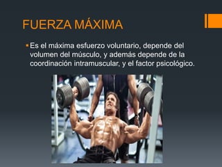 descubre la fuerza maxima definicion clave y su impacto