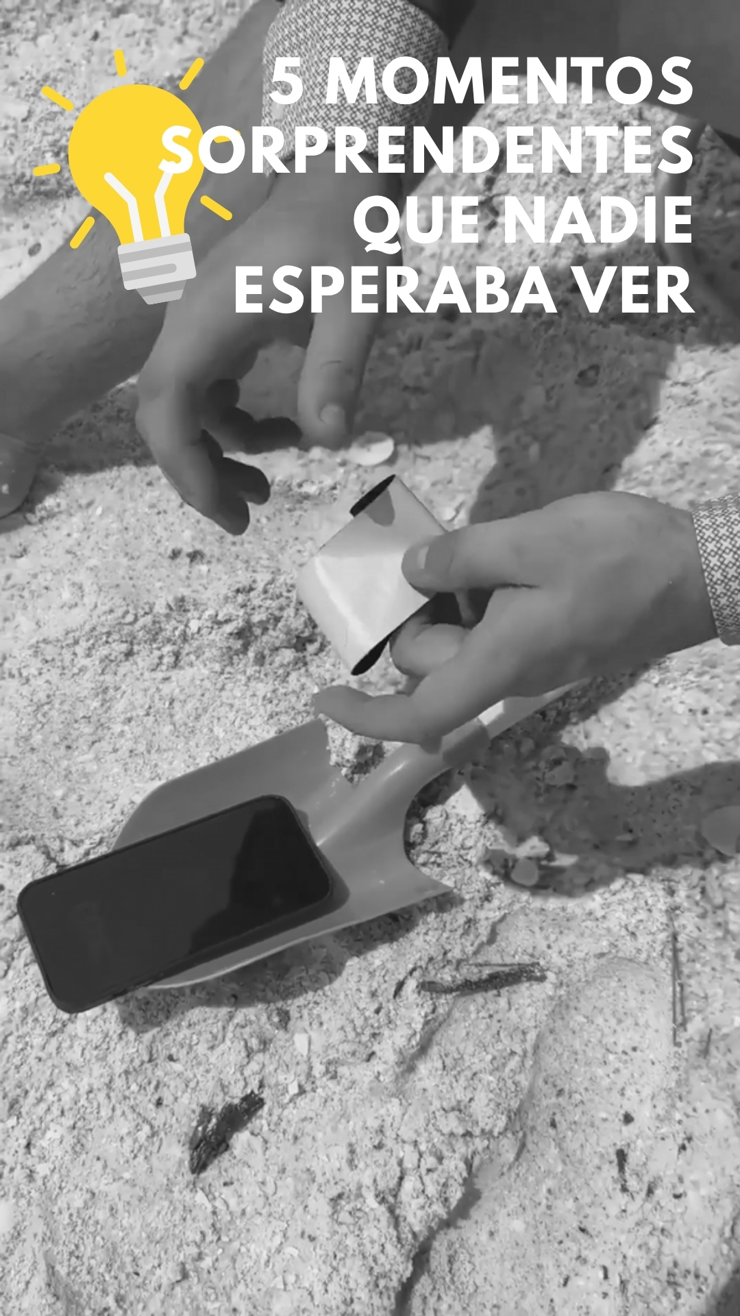 descubre la sorprendente definicion de embebiendo
