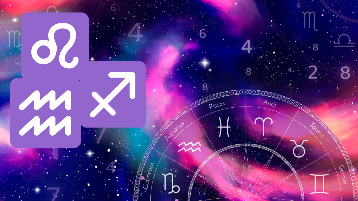 Descubre las Sorprendentes Reglas de los Signos 2 descubre las sorprendentes reglas de los signos