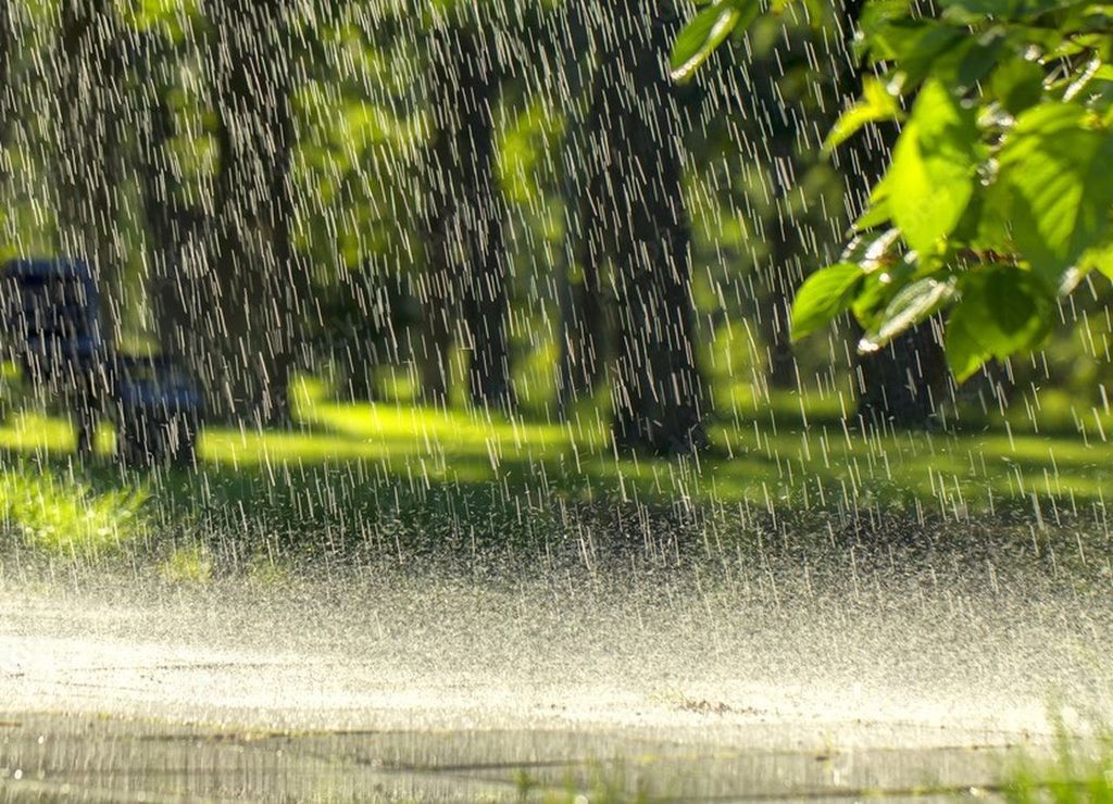 descubre los impactos sorprendentes de las lluvias acidas