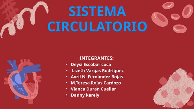 Descubre los Secretos Ocultos del Aparato Circulatorio 2 descubre los secretos ocultos del aparato circulatorio
