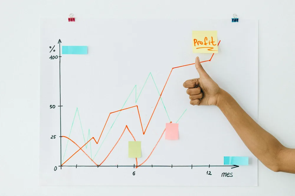 descubre organizadores graficos ejemplos que sorprenden