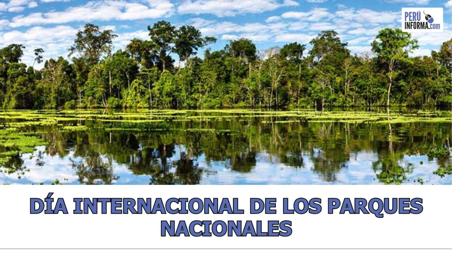 Descubre por qué proteger el medio ambiente es esencial 2 descubre por que proteger el medio ambiente es esencial