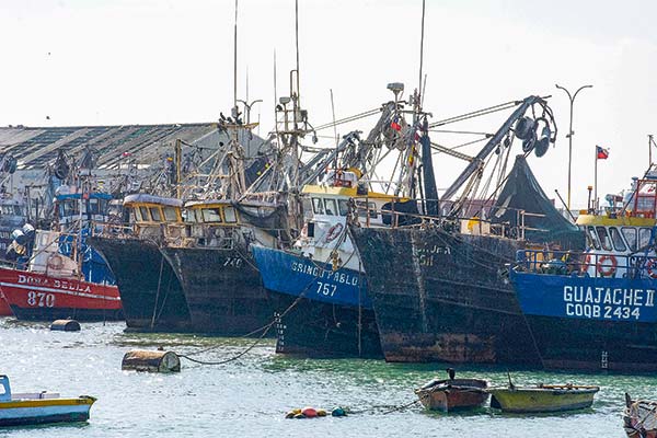 Descubre Tipos de Pesca: Modalidades Sorprendentes 2 descubre tipos de pesca modalidades sorprendentes