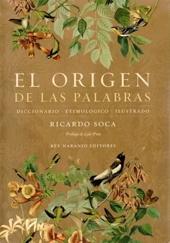 diccionario descubre su fascinante historia y clasificacion