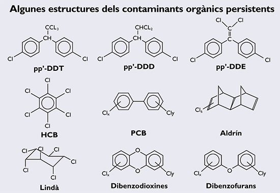 diferencias clave compuestos organicos vs inorganicos