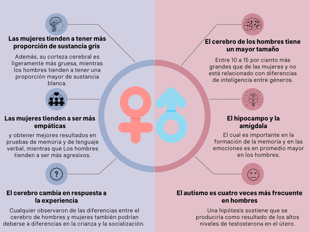 DIFERENCIAS entre TEMPERAMENTO y CARÁCTER: ¡Descúbrelas! 2 diferencias entre temperamento y caracter descubrelas