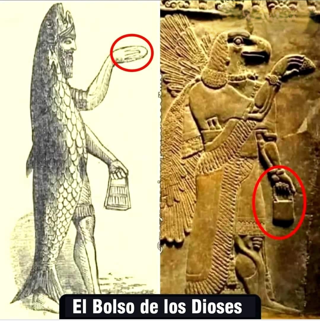 dioses egipcios principales descubre sus secretos