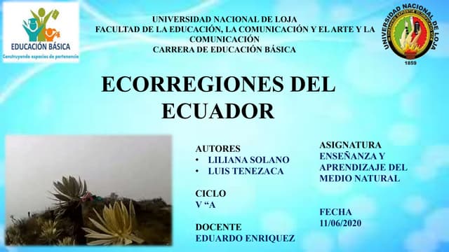 ecorregiones su importancia y beneficios sorprendentes