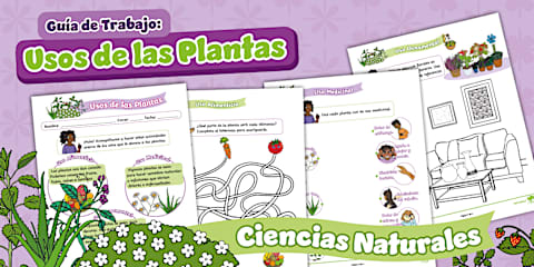 el secreto del tablero de comunicacion de las plantas