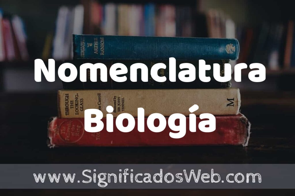 elenco descubre su definicion y concepto clave