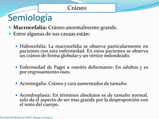 ENCEFALOCELE: DESCUBRE TIPOS, SÍNTOMAS y TRATAMIENTO 2 encefalocele descubre tipos sintomas y tratamiento