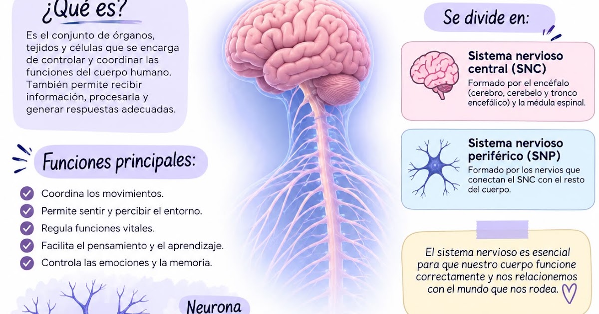 epitalamo funciones y curiosidades que debes conocer